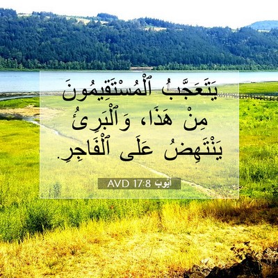 Picture 07 - أَيُّوبَ 17:8 AVD - يَتَعَجَّبُ - Bible Verse Picture