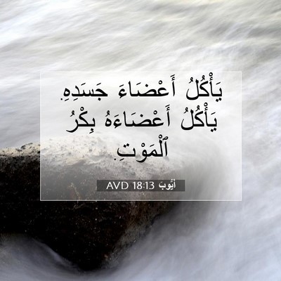 Picture 07 - أَيُّوبَ 18:13 AVD - يَأْكُلُ أَعْضَاءَ - Bible Verse Picture