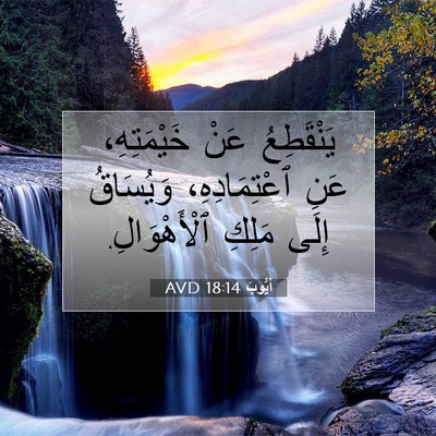 Picture 07 - أَيُّوبَ 18:14 AVD - يَنْقَطِعُ عَنْ - Bible Verse Picture