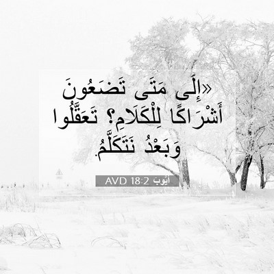 Picture 07 - أَيُّوبَ 18:2 AVD - «إِلَى مَتَى تَضَعُونَ - Bible Verse Picture