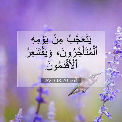 Picture 07 - أَيُّوبَ 18:20 AVD - يَتَعَجَّبُ مِنْ يَوْمِهِ - Bible Verse Picture