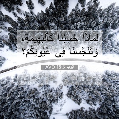 Picture 07 - أَيُّوبَ 18:3 AVD - لِمَاذَا حُسِبْنَا - Bible Verse Picture