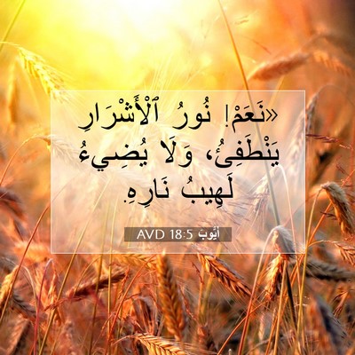 Picture 07 - أَيُّوبَ 18:5 AVD - «نَعَمْ! نُورُ - Bible Verse Picture
