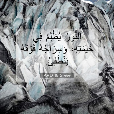 Picture 07 - أَيُّوبَ 18:6 AVD - ٱلنُّورُ يُظْلِمُ فِي - Bible Verse Picture