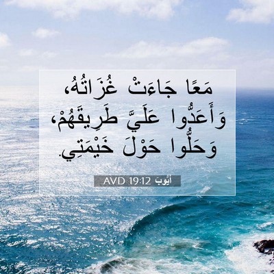 Picture 07 - أَيُّوبَ 19:12 AVD - مَعًا جَاءَتْ غُزَاتُهُ، - Bible Verse Picture
