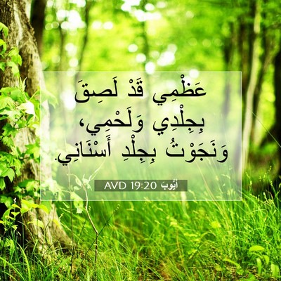 Picture 07 - أَيُّوبَ 19:20 AVD - عَظْمِي قَدْ لَصِقَ - Bible Verse Picture