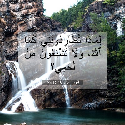 Picture 07 - أَيُّوبَ 19:22 AVD - لِمَاذَا تُطَارِدُونَنِي - Bible Verse Picture