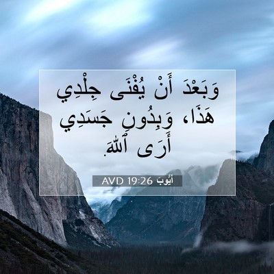 Picture 07 - أَيُّوبَ 19:26 AVD - وَبَعْدَ أَنْ يُفْنَى - Bible Verse Picture