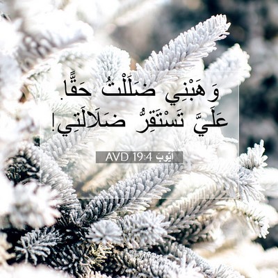 Picture 07 - أَيُّوبَ 19:4 AVD - وَهَبْنِي ضَلَلْتُ حَقًّا. - Bible Verse Picture