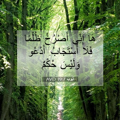Picture 07 - أَيُّوبَ 19:7 AVD - هَا إِنِّي أَصْرُخُ - Bible Verse Picture