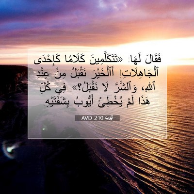 Picture 07 - أَيُّوبَ 2:10 AVD - فَقَالَ لَهَا: - Bible Verse Picture