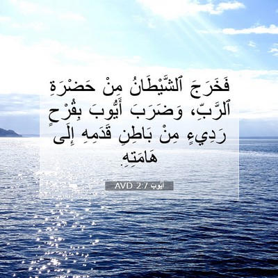 Picture 07 - أَيُّوبَ 2:7 AVD - فَخَرَجَ ٱلشَّيْطَانُ - Bible Verse Picture