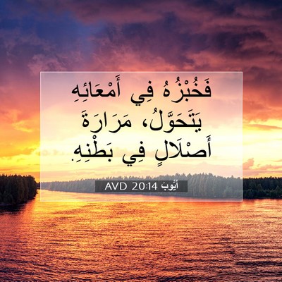 Picture 07 - أَيُّوبَ 20:14 AVD - فَخُبْزُهُ فِي - Bible Verse Picture