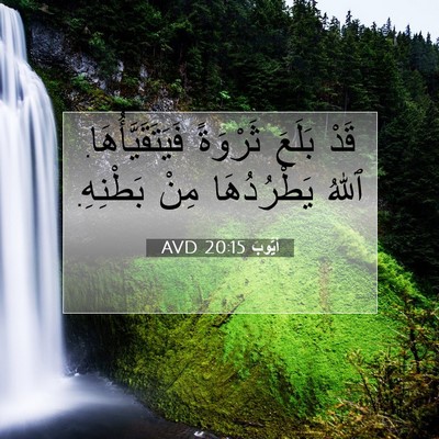 Picture 07 - أَيُّوبَ 20:15 AVD - قَدْ بَلَعَ ثَرْوَةً - Bible Verse Picture
