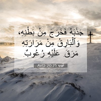 Picture 07 - أَيُّوبَ 20:25 AVD - جَذَبَهُ فَخَرَجَ مِنْ - Bible Verse Picture