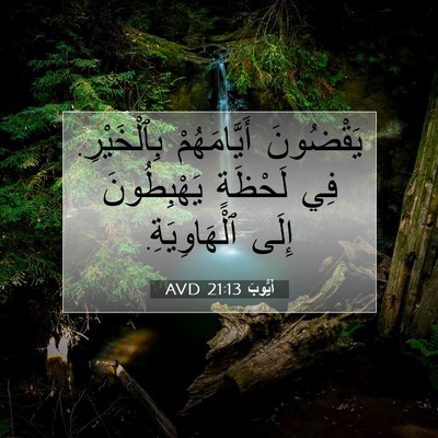 Picture 07 - أَيُّوبَ 21:13 AVD - يَقْضُونَ أَيَّامَهُمْ - Bible Verse Picture