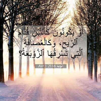 Picture 07 - أَيُّوبَ 21:18 AVD - أَوْ يَكُونُونَ - Bible Verse Picture