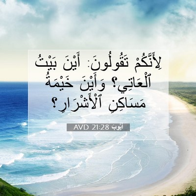 Picture 07 - أَيُّوبَ 21:28 AVD - لِأَنَّكُمْ تَقُولُونَ: - Bible Verse Picture