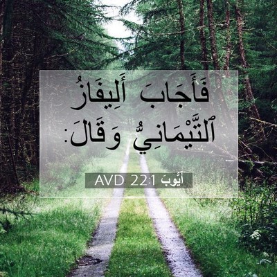 Picture 07 - أَيُّوبَ 22:1 AVD - فَأَجَابَ أَلِيفَازُ - Bible Verse Picture