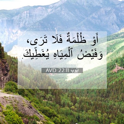 Picture 07 - أَيُّوبَ 22:11 AVD - أَوْ ظُلْمَةٌ فَلَا تَرَى، - Bible Verse Picture