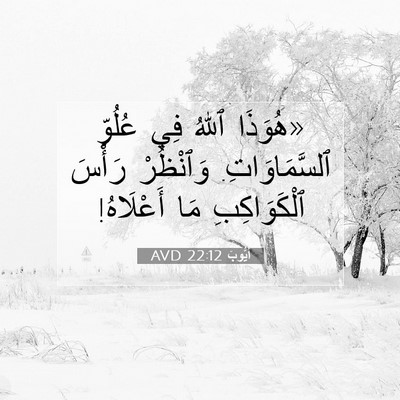 Picture 07 - أَيُّوبَ 22:12 AVD - «هُوَذَا ٱللهُ فِي عُلُوِّ - Bible Verse Picture
