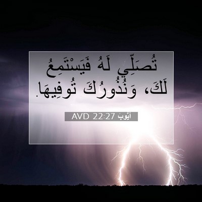 Picture 07 - أَيُّوبَ 22:27 AVD - تُصَلِّي لَهُ - Bible Verse Picture