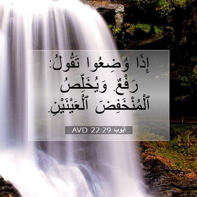 Picture 07 - أَيُّوبَ 22:29 AVD - إِذَا وُضِعُوا تَقُولُ: - Bible Verse Picture