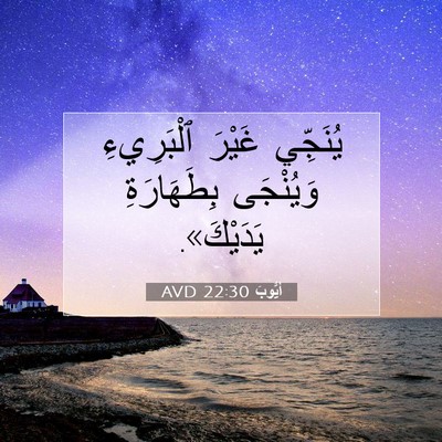 Picture 07 - أَيُّوبَ 22:30 AVD - يُنَجِّي غَيْرَ - Bible Verse Picture