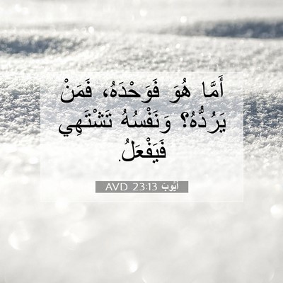 Picture 07 - أَيُّوبَ 23:13 AVD - أَمَّا هُوَ فَوَحْدَهُ، - Bible Verse Picture