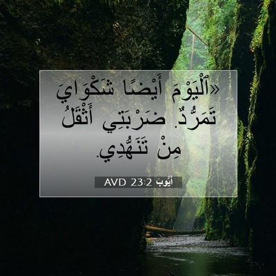 Picture 07 - أَيُّوبَ 23:2 AVD - «ٱلْيَوْمَ أَيْضًا - Bible Verse Picture