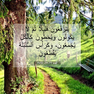 Picture 07 - أَيُّوبَ 24:24 AVD - يَتَرَفَّعُونَ قَلِيلًا - Bible Verse Picture