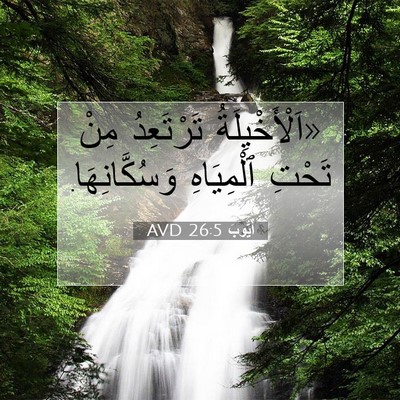 Picture 07 - أَيُّوبَ 26:5 AVD - «اَلْأَخْيِلَةُ - Bible Verse Picture