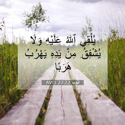 Picture 07 - أَيُّوبَ 27:22 AVD - يُلْقِي ٱللهُ عَلَيْهِ - Bible Verse Picture