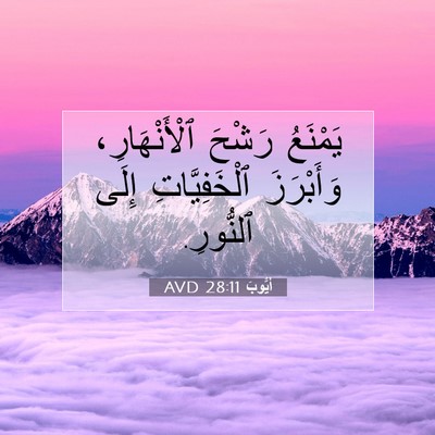 Picture 07 - أَيُّوبَ 28:11 AVD - يَمْنَعُ رَشْحَ - Bible Verse Picture