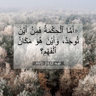 Picture 07 - أَيُّوبَ 28:12 AVD - «أَمَّا ٱلْحِكْمَةُ - Bible Verse Picture