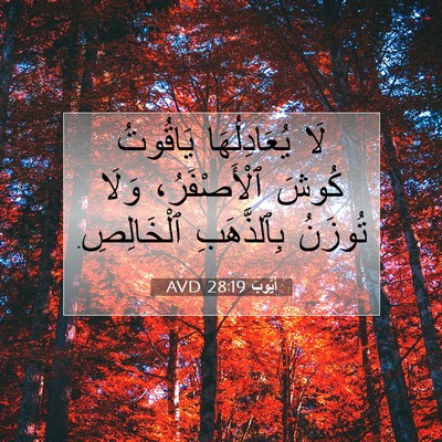 Picture 07 - أَيُّوبَ 28:19 AVD - لَا يُعَادِلُهَا يَاقُوتُ - Bible Verse Picture