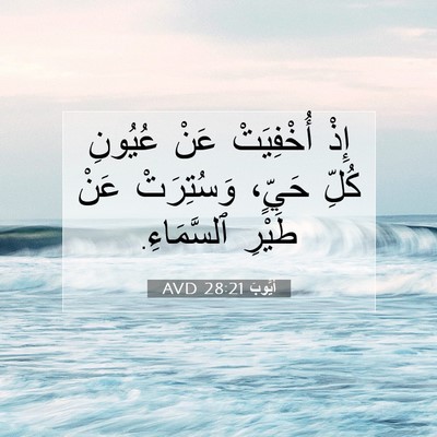 Picture 07 - أَيُّوبَ 28:21 AVD - إِذْ أُخْفِيَتْ عَنْ - Bible Verse Picture