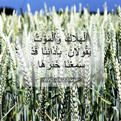 Picture 07 - أَيُّوبَ 28:22 AVD - اَلْهَلَاكُ وَٱلْمَوْتُ - Bible Verse Picture