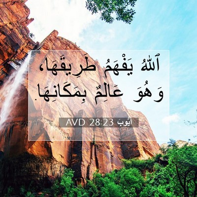 Picture 07 - أَيُّوبَ 28:23 AVD - ٱللهُ يَفْهَمُ - Bible Verse Picture