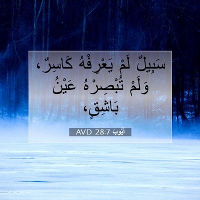 Picture 07 - أَيُّوبَ 28:7 AVD - سَبِيلٌ لَمْ يَعْرِفْهُ - Bible Verse Picture