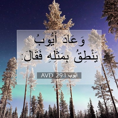Picture 07 - أَيُّوبَ 29:1 AVD - وَعَادَ أَيُّوبُ يَنْطِقُ - Bible Verse Picture