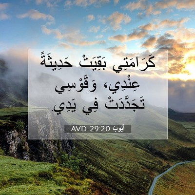 Picture 07 - أَيُّوبَ 29:20 AVD - كَرَامَتِي بَقِيَتْ - Bible Verse Picture