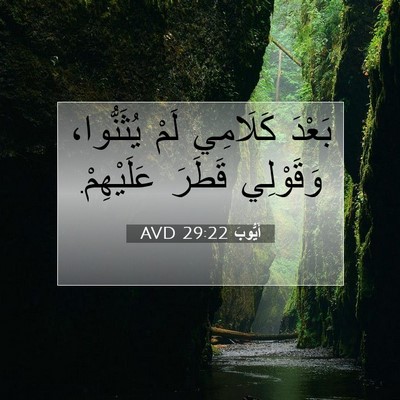 Picture 07 - أَيُّوبَ 29:22 AVD - بَعْدَ كَلَامِي لَمْ - Bible Verse Picture