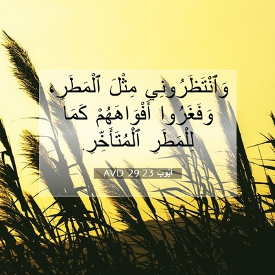 Picture 07 - أَيُّوبَ 29:23 AVD - وَٱنْتَظَرُونِي مِثْلَ - Bible Verse Picture
