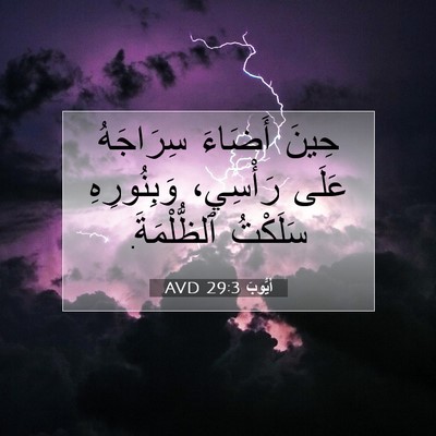 Picture 07 - أَيُّوبَ 29:3 AVD - حِينَ أَضَاءَ سِرَاجَهُ - Bible Verse Picture