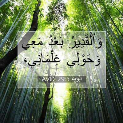 Picture 07 - أَيُّوبَ 29:5 AVD - وَٱلْقَدِيرُ بَعْدُ مَعِي - Bible Verse Picture