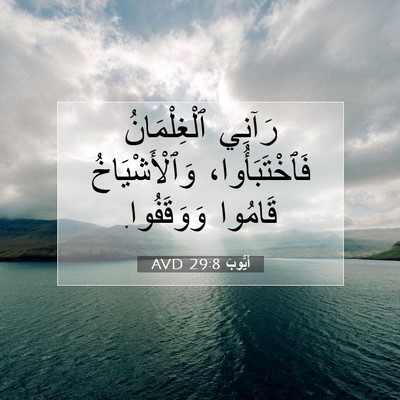 Picture 07 - أَيُّوبَ 29:8 AVD - رَآنِي ٱلْغِلْمَانُ - Bible Verse Picture