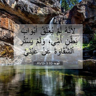 Picture 07 - أَيُّوبَ 3:10 AVD - لِأَنَّهُ لَمْ يُغْلِقْ - Bible Verse Picture