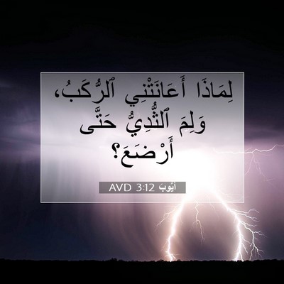 Picture 07 - أَيُّوبَ 3:12 AVD - لِمَاذَا أَعَانَتْنِي - Bible Verse Picture