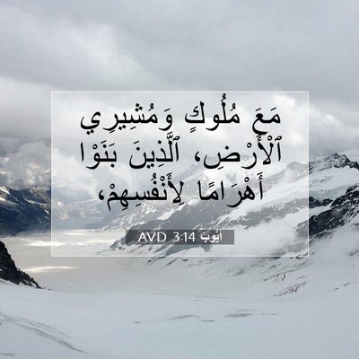 Picture 07 - أَيُّوبَ 3:14 AVD - مَعَ مُلُوكٍ وَمُشِيرِي - Bible Verse Picture